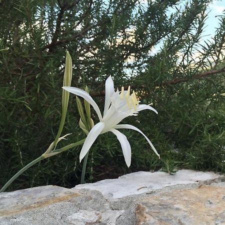 فندق Ca' Di Bianca مونيلّي المظهر الخارجي الصورة